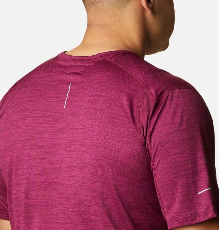 Men's Columbia Alpine Chill Zero Short Sleeve Crew T Shirts Fuchsia | Plus Size CA-LL3C6